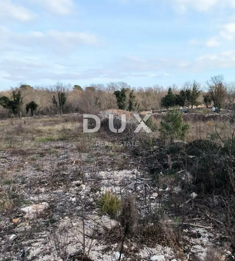 Land In Filipana, Croatia (1.295 M²)