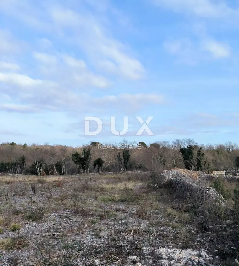 Land In Filipana, Croatia (1.295 M²)
