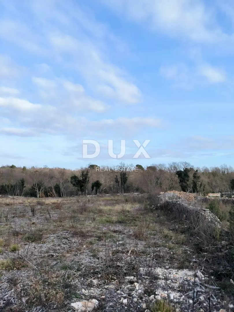 1705338073_f5-7e880a Land In Filipana, Croatia (1.295 M²)