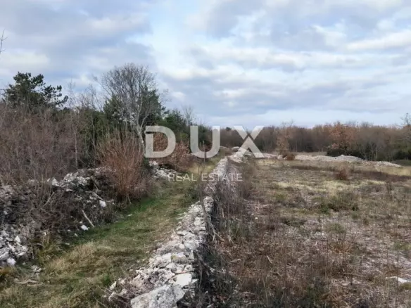 Land In Filipana, Croatia (1.295 M²)