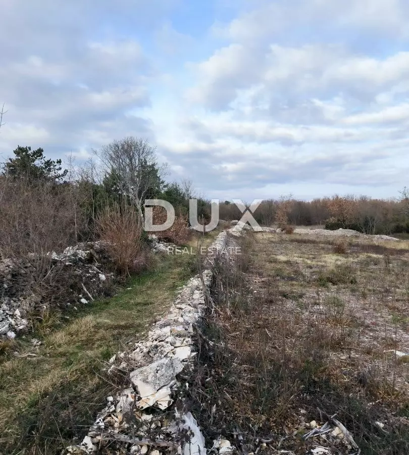 Land In Filipana, Croatia (1.295 M²)