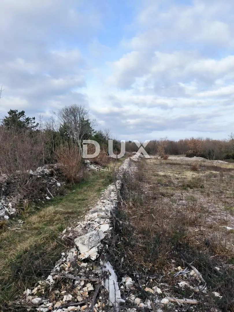1705338076_f2-ba7305 Land In Filipana, Croatia (1.295 M²)