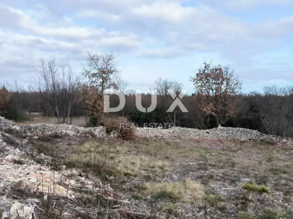 Land In Filipana, Croatia (1.295 M²)