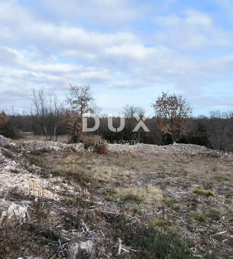 Land In Filipana, Croatia (1.295 M²)