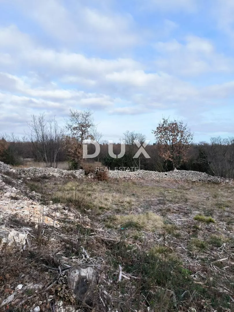 1705338079_f3-784100 Land In Filipana, Croatia (1.295 M²)