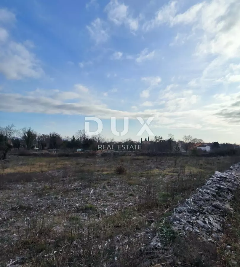 Land In Filipana, Croatia (1.295 M²)