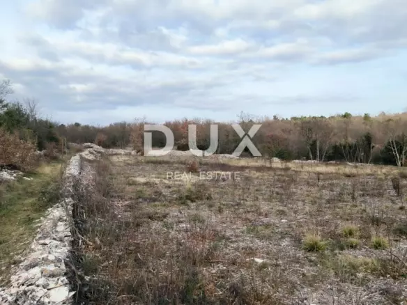 Land In Filipana, Croatia (1.295 M²)