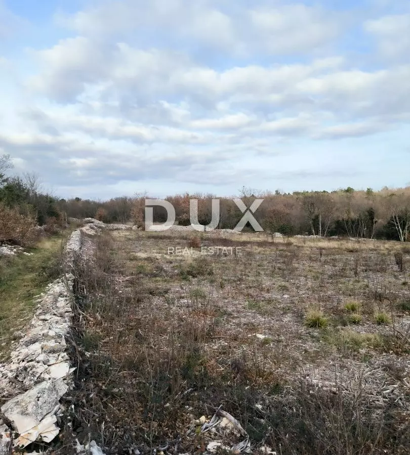 Land In Filipana, Croatia (1.295 M²)