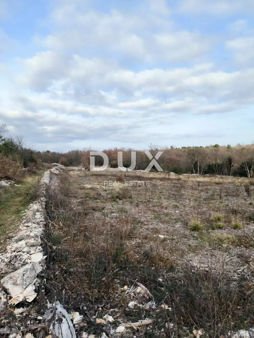 1705338085_f1-eac3ea Land In Filipana, Croatia (1.295 M²)