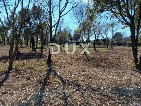 Land In Rakalj, Croatia (3.153 M²)