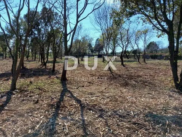 Land In Rakalj, Croatia (3.153 M²)