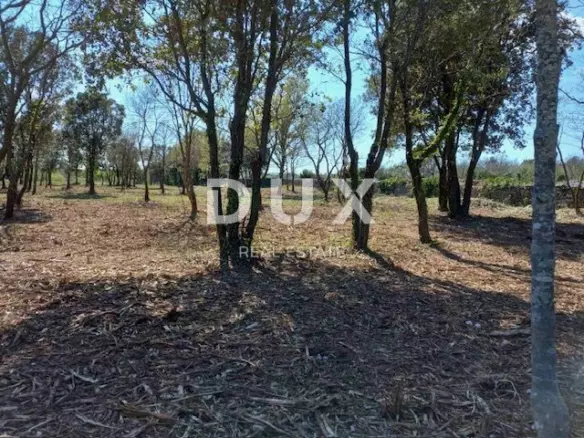 Land In Rakalj, Croatia (3.153 M²)