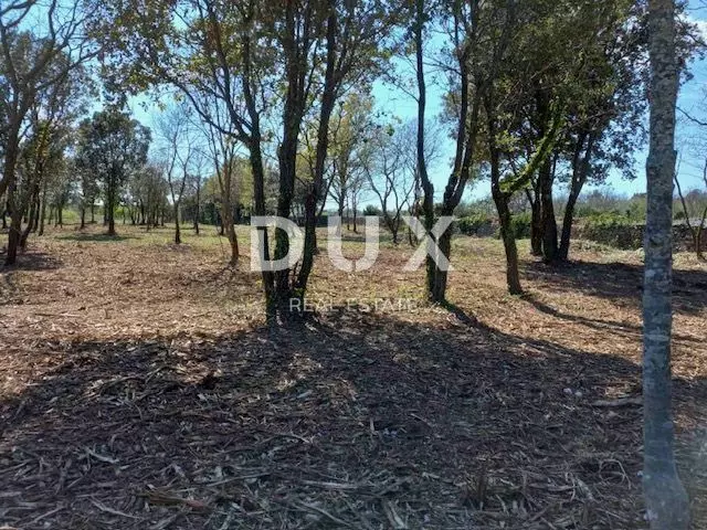 Land In Rakalj, Croatia (3.153 M²)