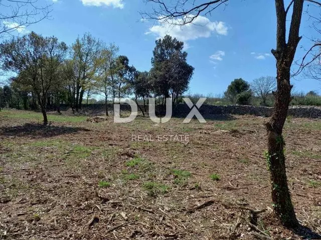Land In Rakalj, Croatia (3.153 M²)