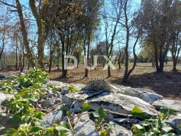 Land In Rakalj, Croatia (3.153 M²)