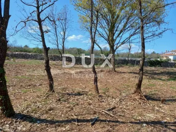 Land In Rakalj, Croatia (3.153 M²)