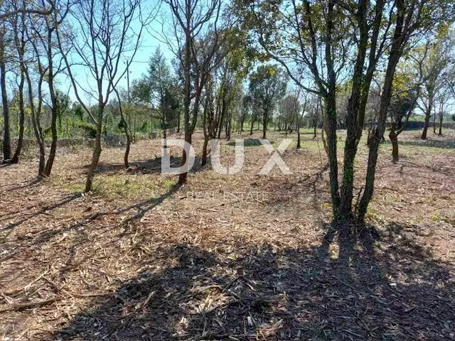 Land In Rakalj, Croatia (3.153 M²)