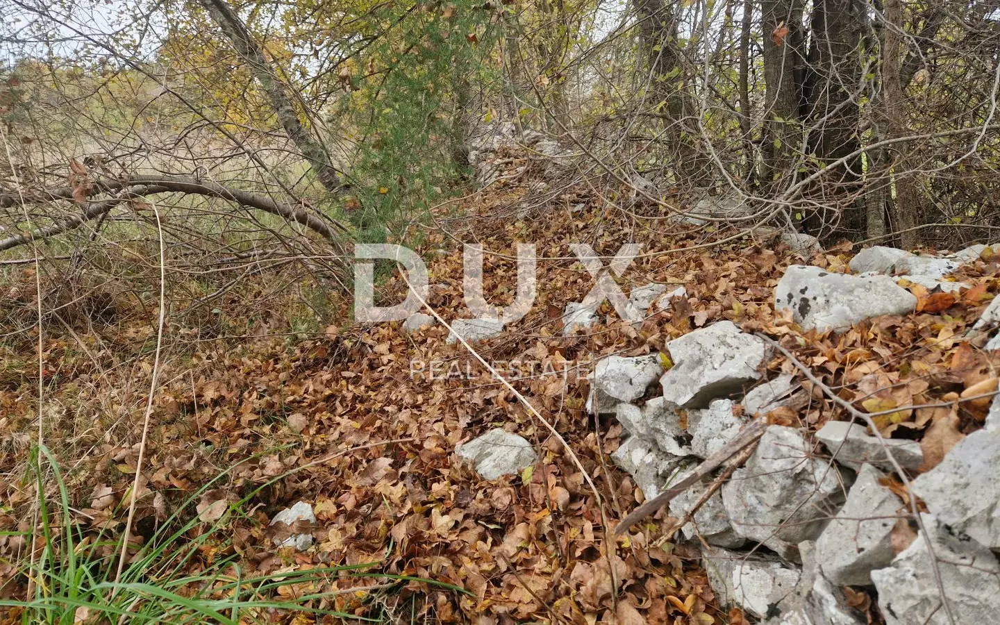 Land In Barban, Croatia (18.323 M²)