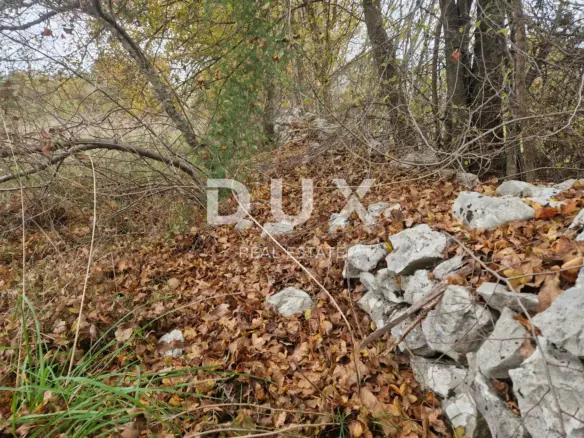 Land In Barban, Croatia (18.323 M²)
