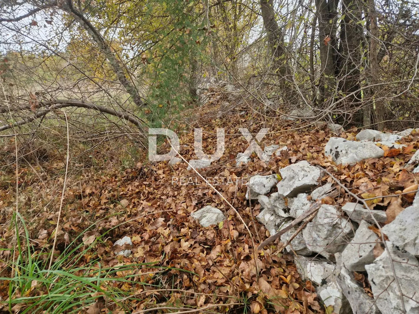 Land In Barban, Croatia (18.323 M²)