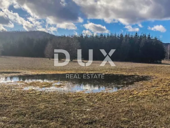 Land In Lič, Croatia (3.339 M²)