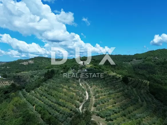Land In Motovun, Croatia (167.943 M²)