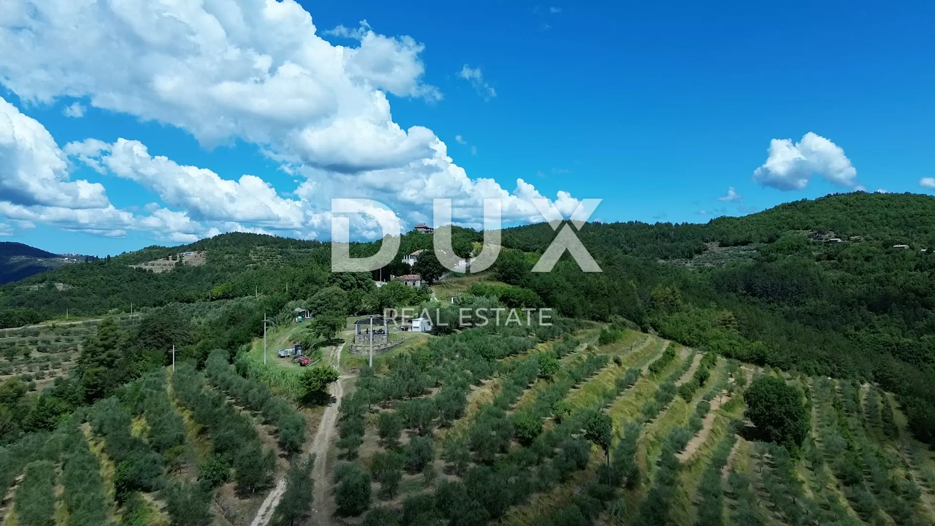 1754645720_98999-d26e11 Land In Motovun, Croatia (167.943 M²)