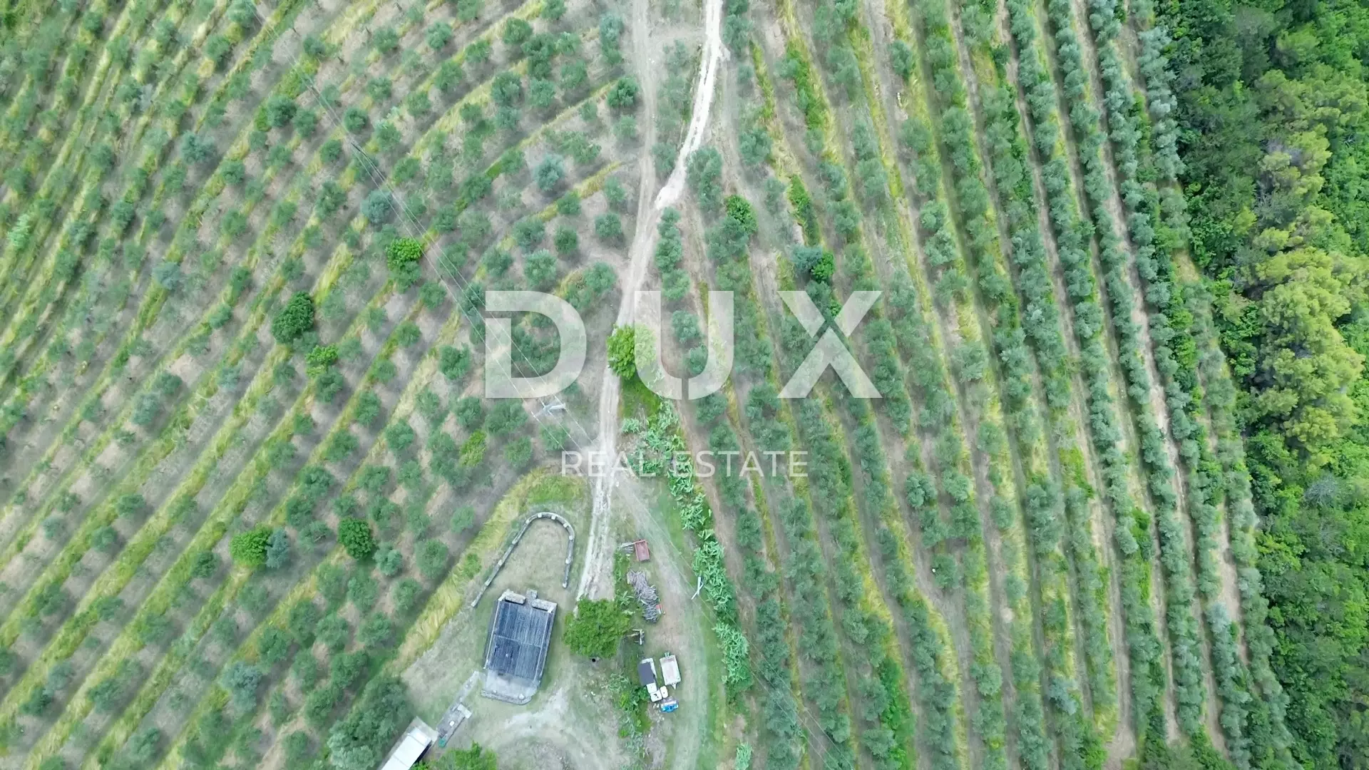 1754645730_2983921-0146e3 Land In Motovun, Croatia (167.943 M²)