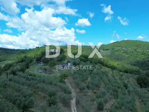 Land In Motovun, Croatia (167.943 M²)