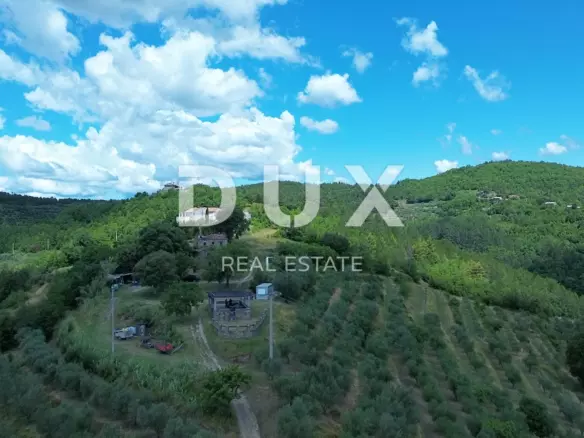 Land In Motovun, Croatia (167.943 M²)