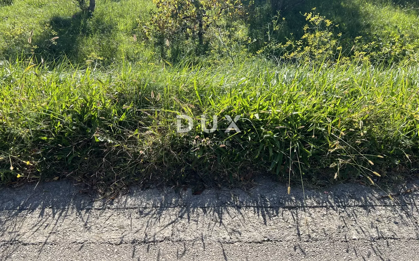 Land In Kampor, Croatia (5.929 M²)