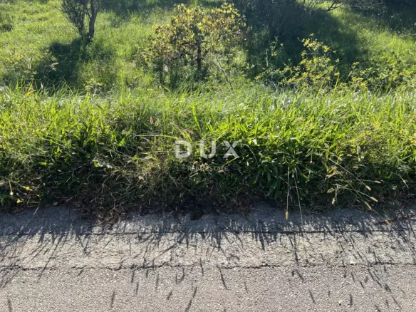 Land In Kampor, Croatia (5.929 M²)