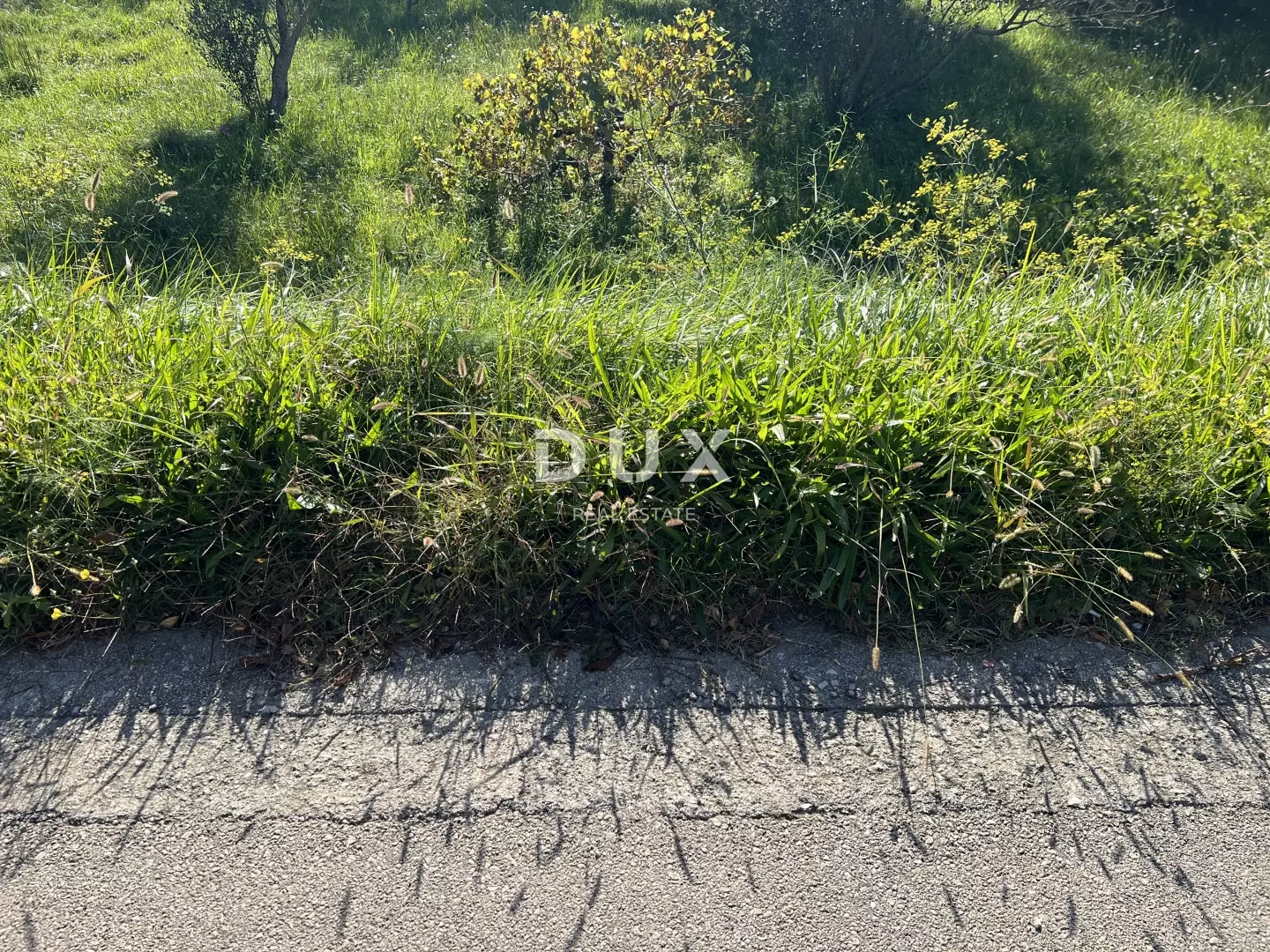 Land In Kampor, Croatia (5.929 M²)