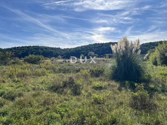 Land In Kampor, Croatia (5.929 M²)