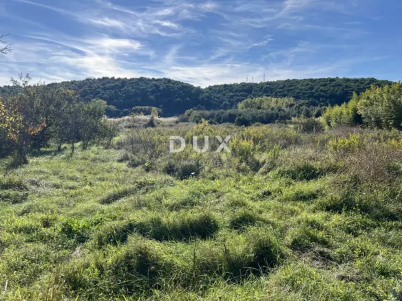 Land In Kampor, Croatia (5.929 M²)