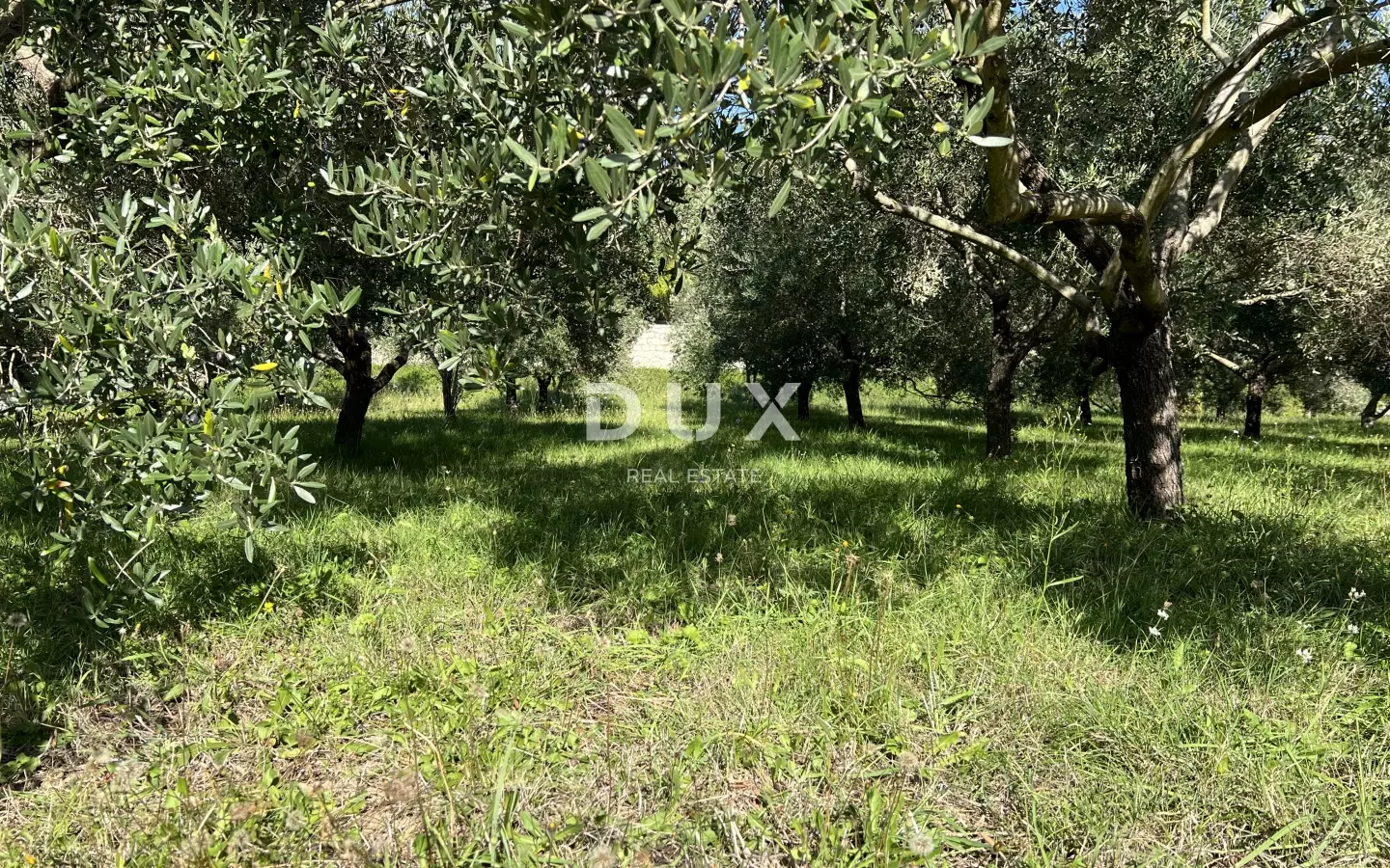 Land In Kampor, Croatia (5.929 M²)