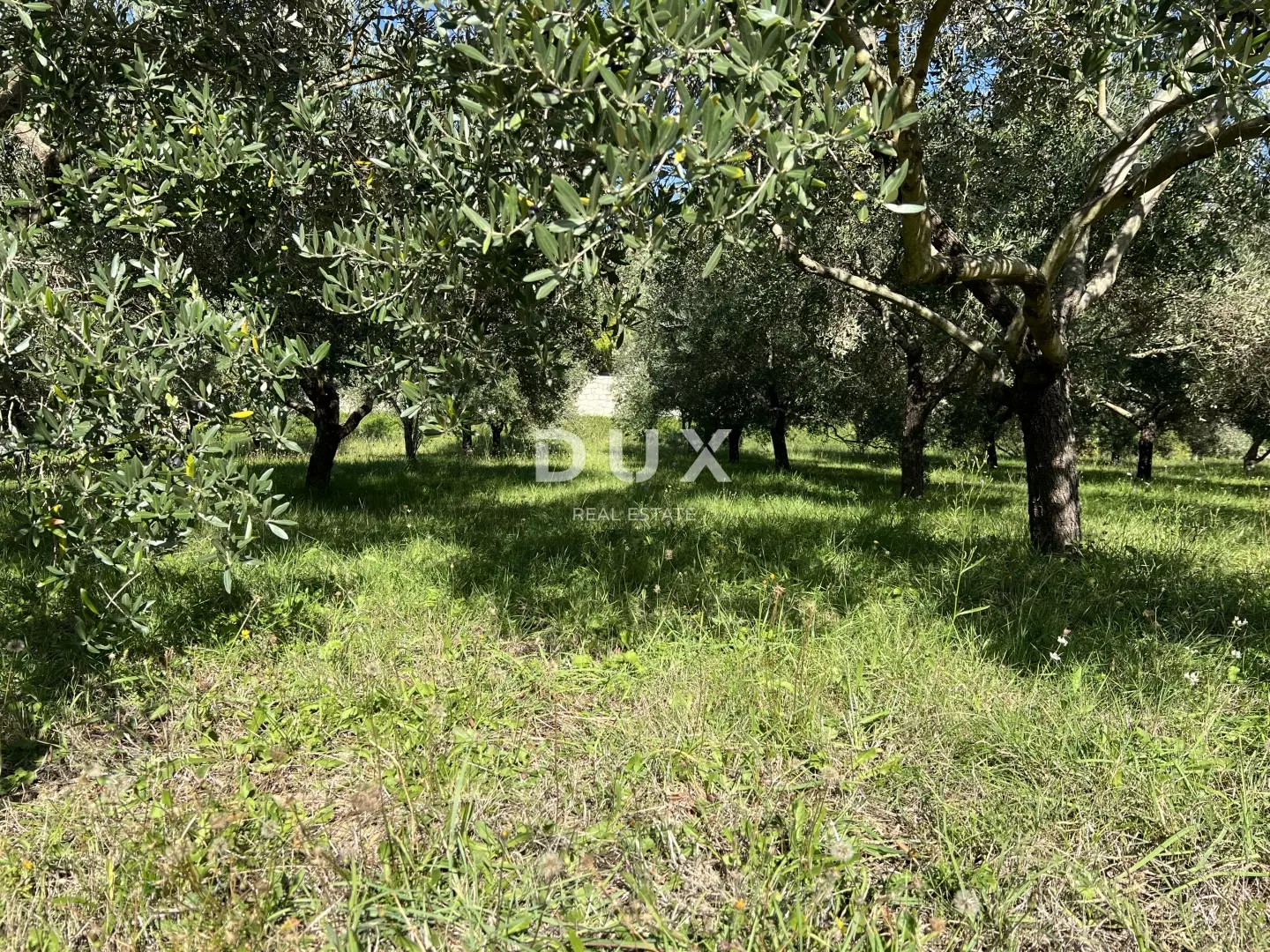 Land In Kampor, Croatia (5.929 M²)