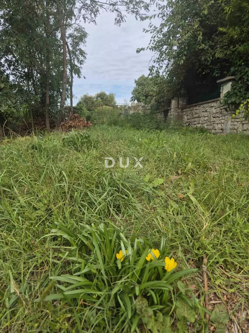 Land In Bale, Croatia (7.801 M²)