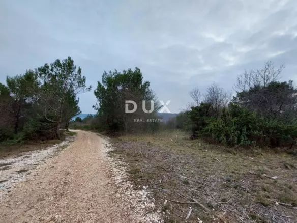 Land In Barban, Croatia (1.625 M²)