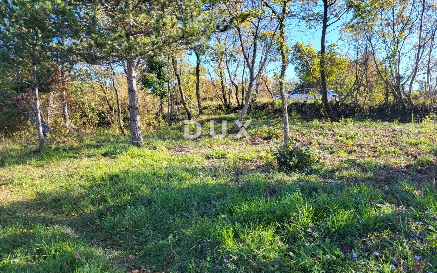 Land In Grožnjan, Croatia (958 M²)