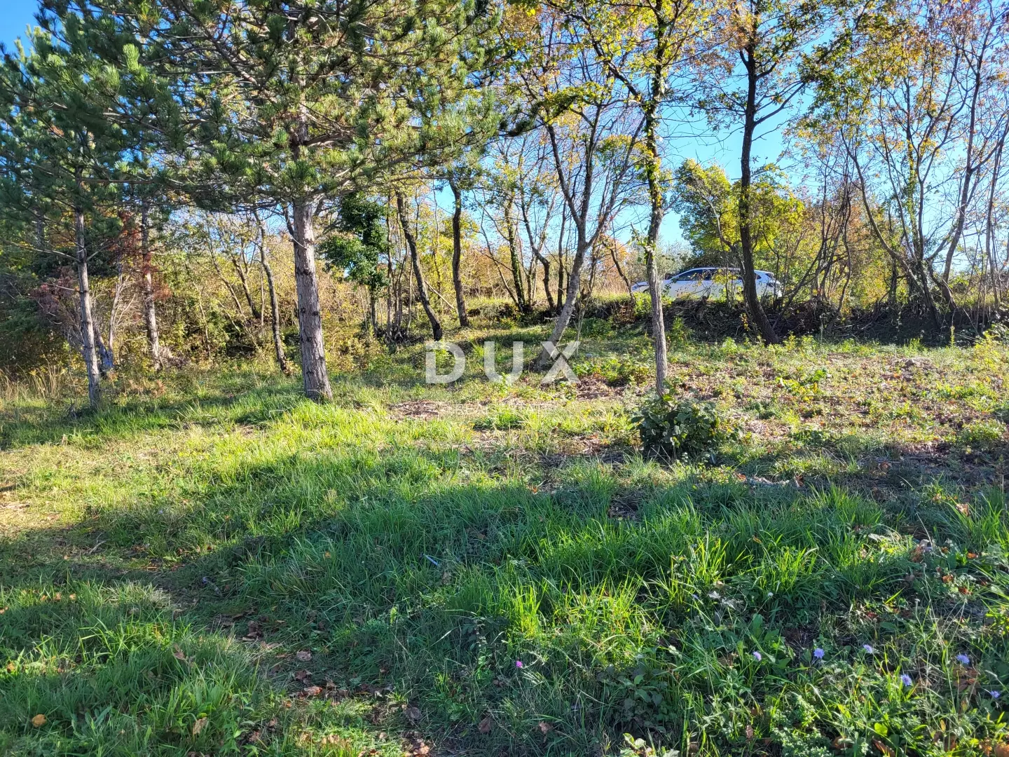 Land In Grožnjan, Croatia (958 M²)