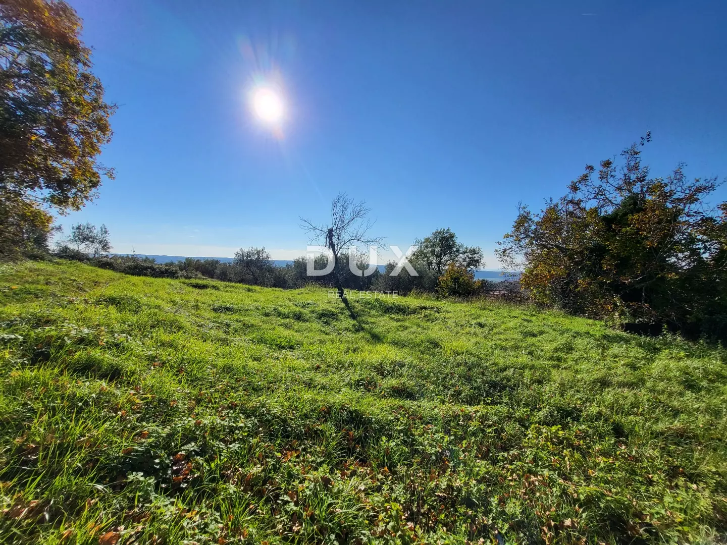 Land In Grožnjan, Croatia (958 M²)