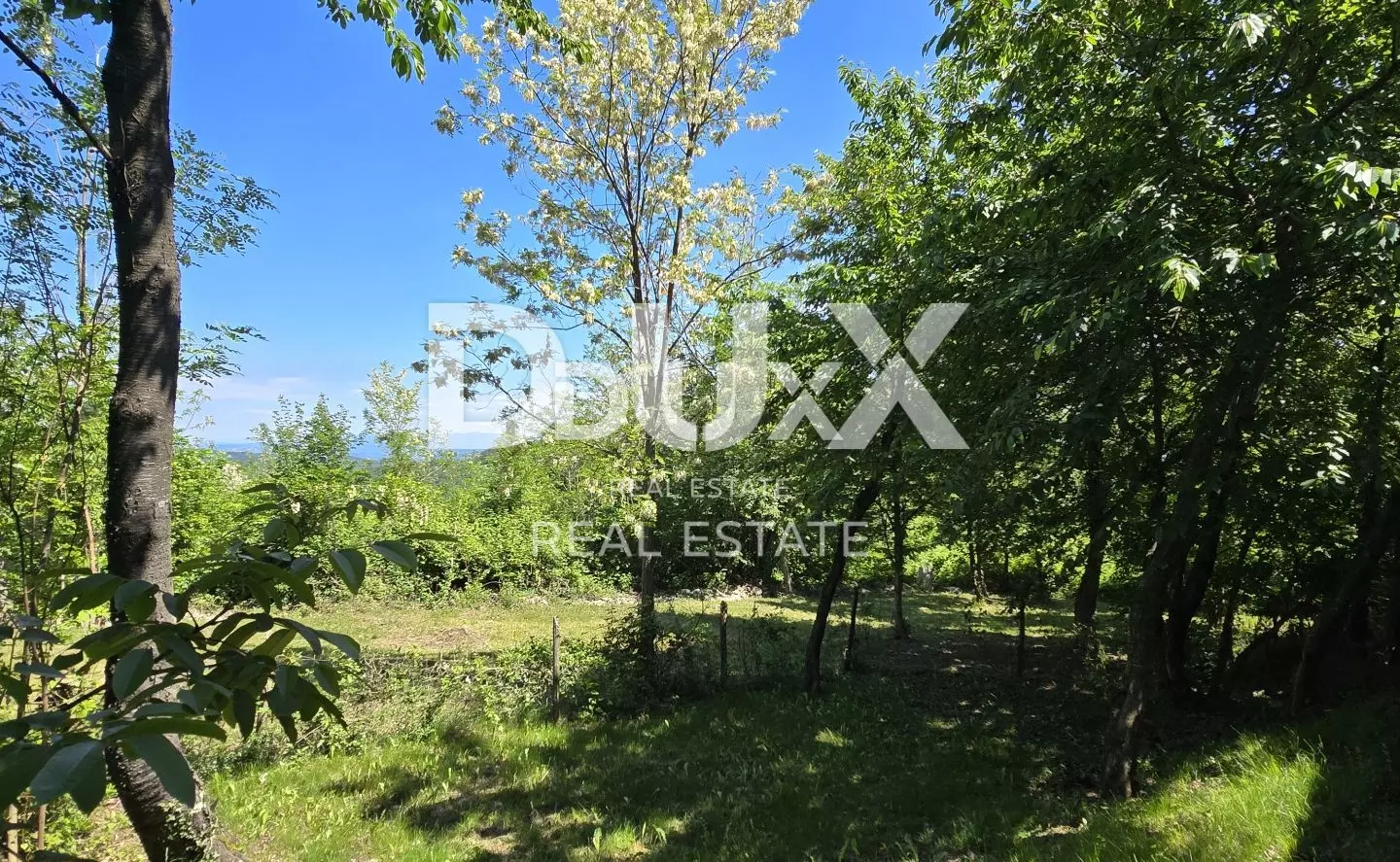 Land In Gračišće, Croatia (17.270 M²)