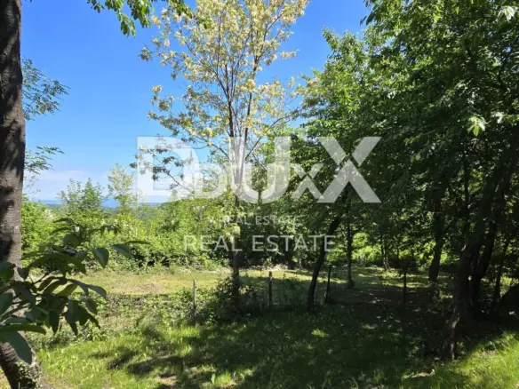 Land In Gračišće, Croatia (17.270 M²)