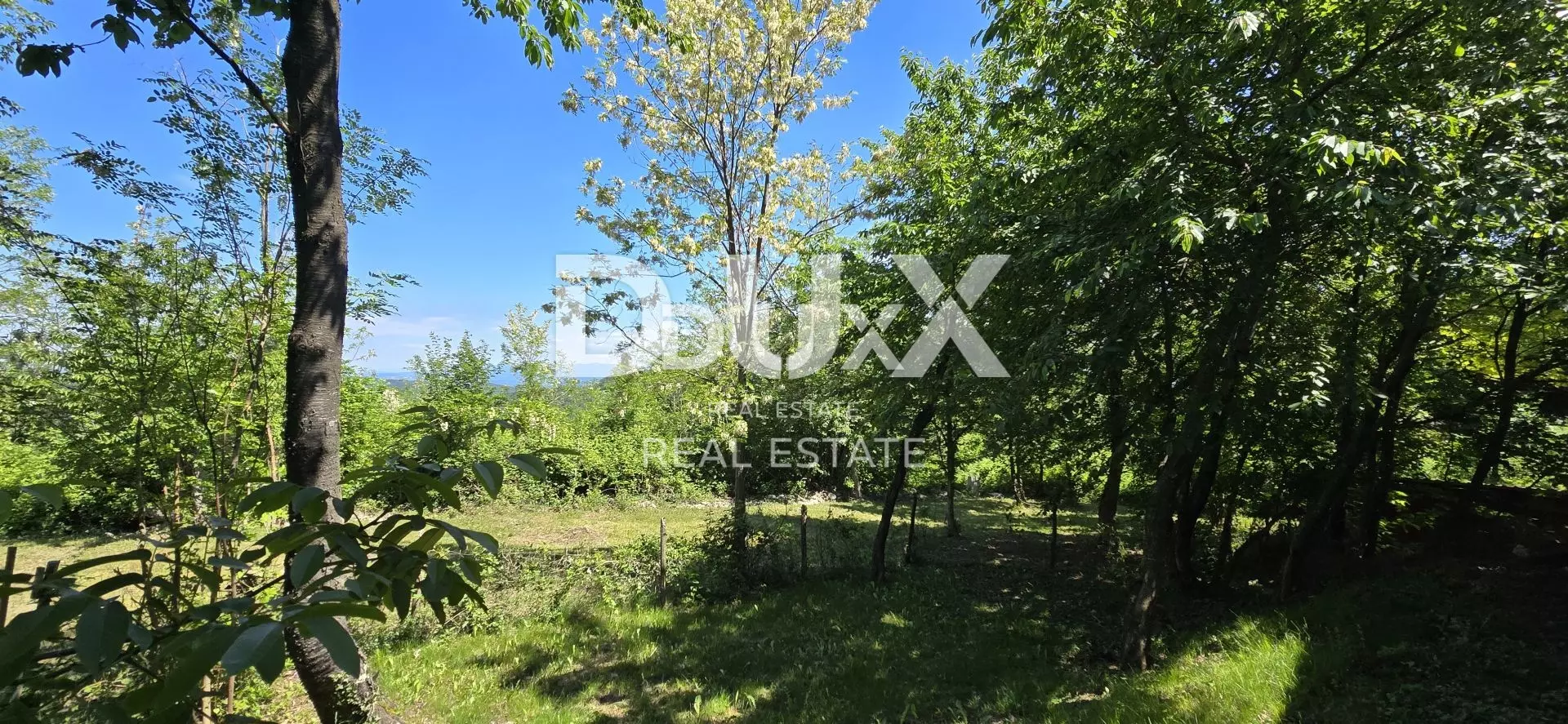Land In Gračišće, Croatia (17.270 M²)