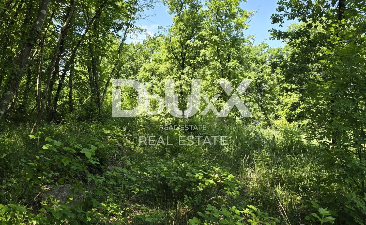 Land In Gračišće, Croatia (17.270 M²)