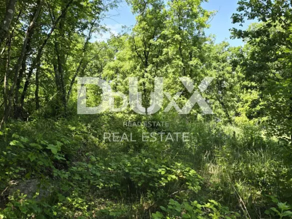 Land In Gračišće, Croatia (17.270 M²)