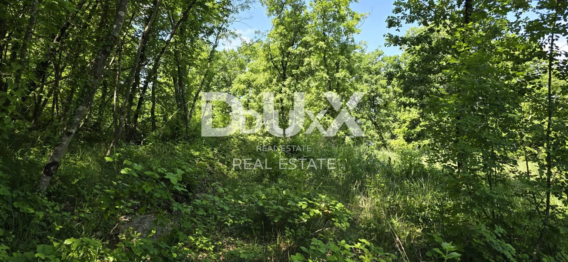 Land In Gračišće, Croatia (17.270 M²)