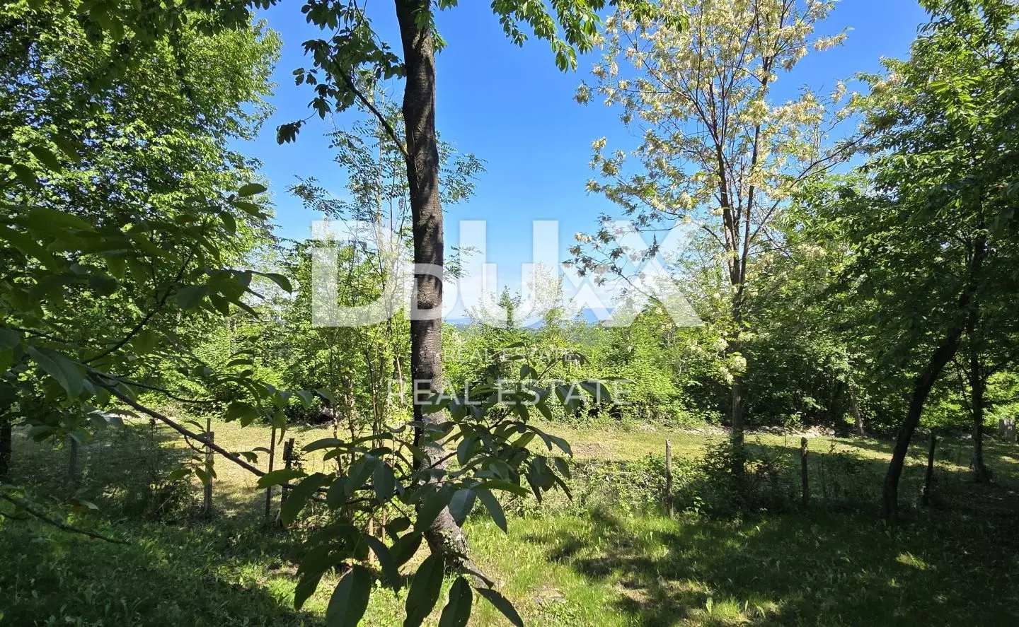 Land In Gračišće, Croatia (17.270 M²)