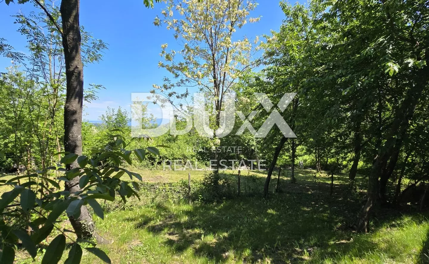 Land In Gračišće, Croatia (17.270 M²)